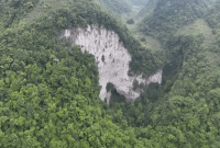Hutan purba ditemukan di selatan China. Ilmuwan meyakini terdapat spesies yang belum pernah diidentifikasi. Foto: Tim peneliti speleologi Guangxi 702