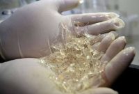 Ilustrasi. Foto: Istimewa