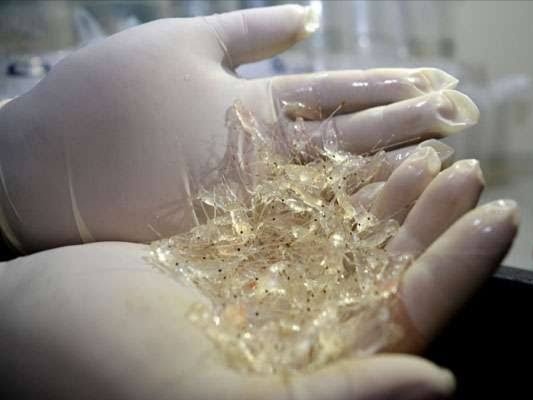 Ilustrasi. Foto: Istimewa