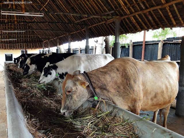 Ilustrasi. Foto: Istimewa