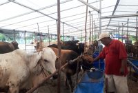 Kandang Berkah. Foto: INIKEPRI.COM