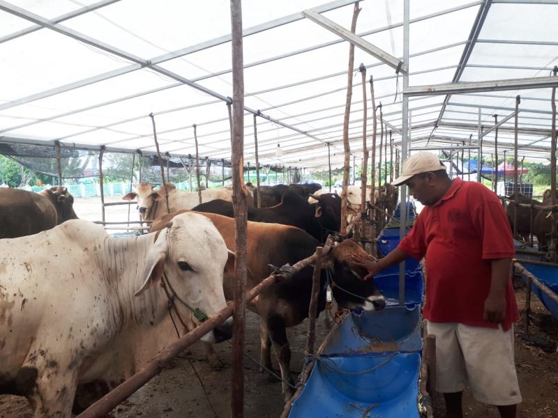 Kandang Berkah. Foto: INIKEPRI.COM