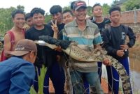 Warga Kecamatan Bintan Timur, Kabupaten Bintan, Kepulauan Riau (Kepri) menangkap seekor buaya berukuran 1 meter lebih setelah terjerat pancing umpan daging yang dipasang Dinas Pemadam Kebakaran (Damkar) di sungai Kampung Kolong Enam. Foto: ANTARA