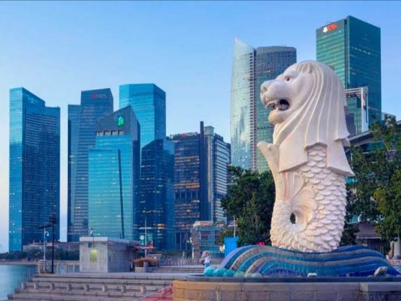 VirusCacar Monyet Ditemukan di Singapura, Pertama di ASEAN. Foto: Istimewa 