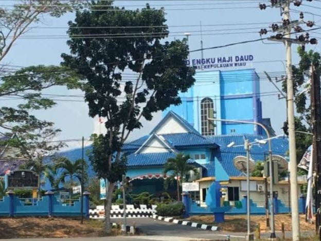Rumah Sakit Umum Daerah (RSUD) Engku Haji Daud (EHD) Tanjung Uban, Bintan. Foto: Istimewa