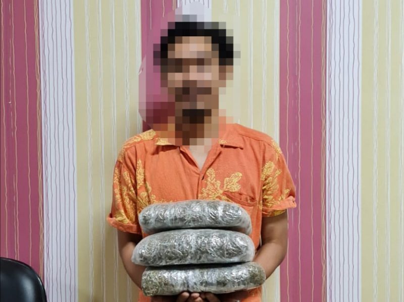 Pelaku yang diamankan. Foto: Humas BC Batam