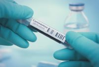 Ilustrasi. Foto: Istimewa 