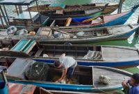 Salah satu nelayan tradisional sedang beraktivitas di Perairan Kawal, Kabupaten Bintan, Kepri. Foto: ANTARA/Nikolas Panama