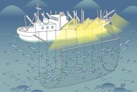 Ilustrasi. Foto: Istimewa 