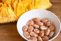 Biji Nangka. Foto: Istimewa 