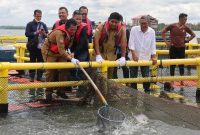 Gubernur Ansar Panen Ikan Bawal Bintang dari Keramba Jaring Apung (KJA) Kampung Budidaya Perikanan Kampung Keter Tengah, Tembeling, Bintan. Foto: Diskominfo Kepri 