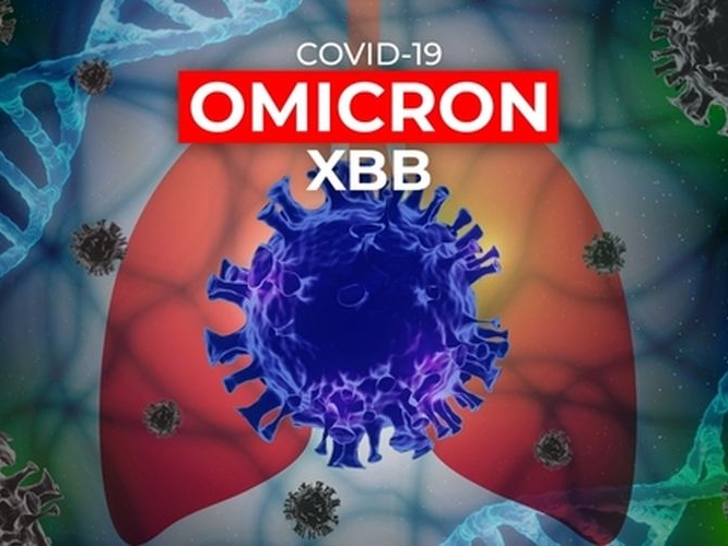 Ilustrasi. Foto: Istimewa 