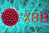 Ilustrasi. Foto: Istimewa 