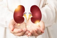 Juru Bicara Kementerian Kesehatan, Muhammad Syahril, mengungkapkan bahwa dalam seminggu terakhir, jumlah kasus baru Gangguan Ginjal Akut (GGA) pada anak menurun signifikan. Foto: Istimewa