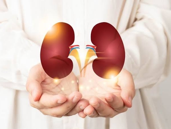 Juru Bicara Kementerian Kesehatan, Muhammad Syahril, mengungkapkan bahwa dalam seminggu terakhir, jumlah kasus baru Gangguan Ginjal Akut (GGA) pada anak menurun signifikan. Foto: Istimewa 