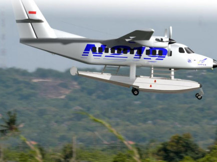 Ilustrasi N 219 Amfibi. Foto: Istimewa