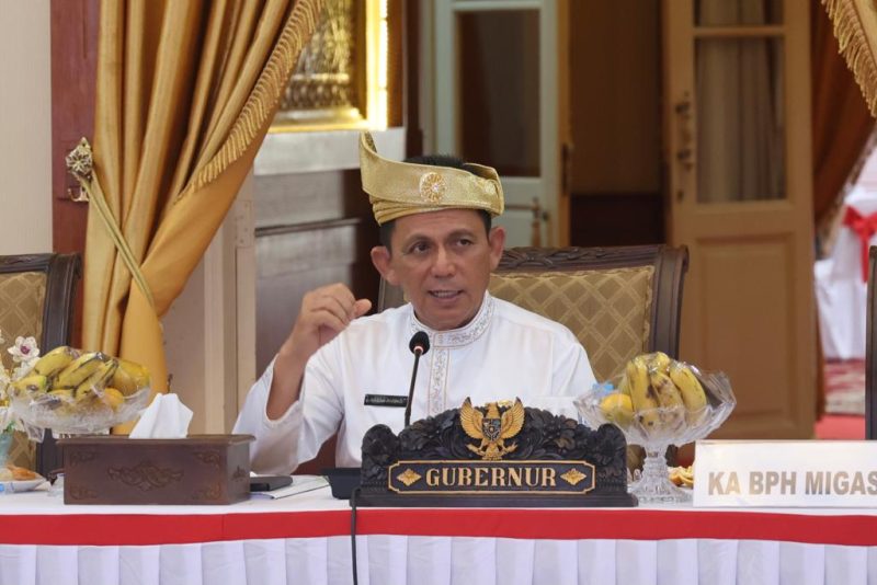 Gubernur Kepulauan Riau, Ansar Ahmad. Foto: Diskominfo Kepri 