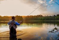 Ilustrasi. Foto: PEXELS 