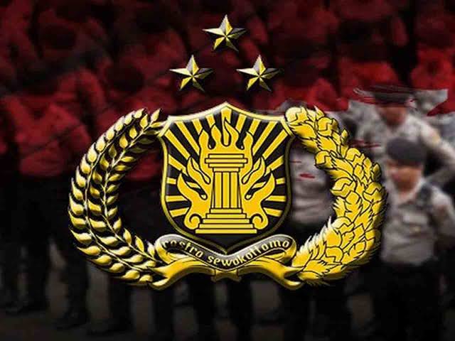 Ilustrasi. Foto: Istimewa 