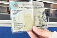 Ilustrasi. Foto: Istimewa 