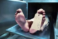 Ilustrasi. Foto: Istimewa 