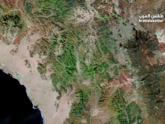 Tangkapan layar citra satelit yang menunjukkan kawasan di barat Kota Madinah berubah menjadi hijau. Foto: Arabia Weather