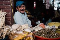 Ilustrasi. Foto: SHUTTERSTOCK 