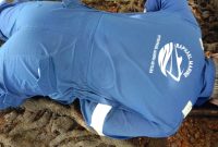 Sesosok mayat pria tanpa identitas memakai wearpack biru ditemukan di perairan Pulau Kasu, Kecamatan Belakangpadang. Foto: INIKEPRI.COM 