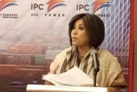 Ketua Umum DPP Asosiasi Pemilik Pelayaran Nasional Indonesia (INSA) Carmelita Hartoto. Foto: ANTARA/Ahmad Wijaya.