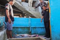 Menteri Kelautan dan Perikanan (KP), Sakti Wahyu Trenggono, memastikan pelaksanaan kebijakan penangkapan ikan terukur berbasis kuota (PIT) akan memberikan banyak keistimewaan dan mendorong pemberdayaan nelayan kecil. Foto: Kementerian KP