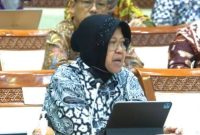 Menteri Sosial Tri Rismaharini dalam Rapat Kerja bersama Komisi VIII DPR diikuti di Jakarta, Selasa (28/3/2023). Foto: ANTARA/Youtube TVR Parlemen