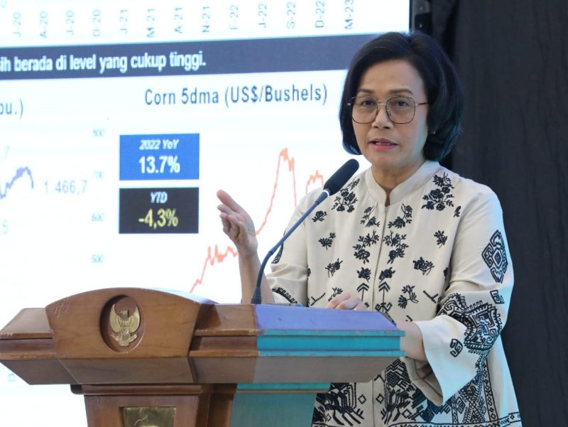 Menteri Keuangan (Menkeu) Sri Mulyani. Foto: Bappenas 