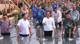 Presiden Joko Widodo ketika menghadiri Puncak Penanaman Mangrove Nasional secara Serentak oleh Jajaran TNI di Seluruh Indonesia Tahun 2023. Foto: Setpres BPMI