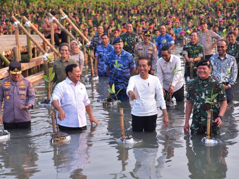 Presiden Joko Widodo ketika menghadiri Puncak Penanaman Mangrove Nasional secara Serentak oleh Jajaran TNI di Seluruh Indonesia Tahun 2023. Foto: Setpres BPMI
