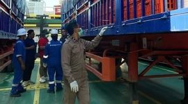 Karantina Pertanian Tanjungpinang, Kepri, memeriksa kesehatan ayam hidup yang diekspor ke negara Singapura, Jumat (12/5/2023). Foto:ANTARA/HO-Karantina Pertanian Tanjungpinang/am.
