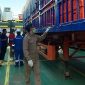 Karantina Pertanian Tanjungpinang, Kepri, memeriksa kesehatan ayam hidup yang diekspor ke negara Singapura, Jumat (12/5/2023). Foto:ANTARA/HO-Karantina Pertanian Tanjungpinang/am.