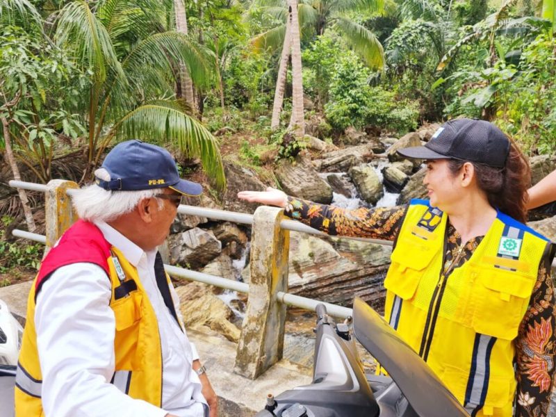 Anggota DPR RI dari Partai Golkar Dapil Kepulauan Riau Cen Sui Lan, saat bersama menteri basuki saat kunjungan ke Kepri. Foto: Istimewa 