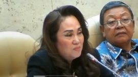 Anggota DPR RI dari Partai Golkar Dapil Kepulauan Riau Cen Sui Lan. Foto: Tangkapan Layar 