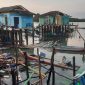 Angin puting beliung memporak-porandakan Pulau Kasu, Kecamatan Belakangpadang, Kota Batam, Sabtu (24/6) dinihari sekira pukul 02.00 WIB. Foto: INIKEPRI.COM 