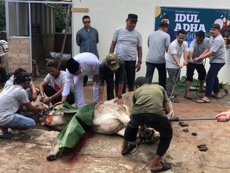 Momentum Idul Adha 1444 H, Anggota DPRD Kota Batam dari Fraksi Partai NasDem Rival Pribadi berkurban lima ekor sapi di Kecamatan Sekupang dan Belakangpadang. Foto: INIKEPRI.COM 