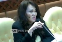 Cen Sui Lan Anggota DPR RI dari Partai Golkar Dapil Kepulauan. Foto:Istimewa 