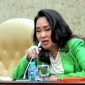 Cen Sui Lan Anggota DPR RI dari Partai Golkar Dapil Kepulauan Riau. Foto: Istimewa 