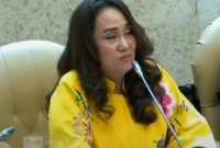 Anggota DPR RI dari Partai Golkar Dapil Kepulauan Riau Cen Sui Lan. Foto: Istimewa 