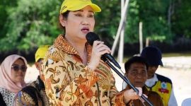 Anggota DPR RI dari Partai Golkar Dapil Kepulauan Riau Cen Sui Lan. Foto: Istimewa 