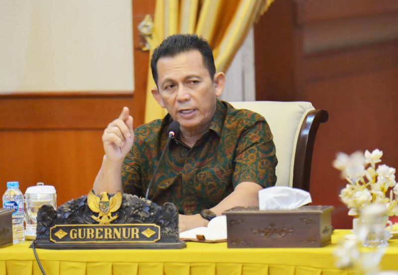 Gubernur Kepri Ansar Ahmad. Foto:Istimewa 
