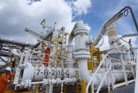 Ilustrasi. Foto: Istimewa 