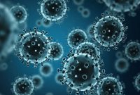 Ilustrasi. Foto:SHUTTERSTOCK 