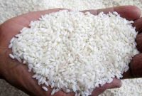 Ilustrasi. Foto:Istimewa 