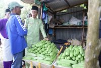 Penjabat (Pj) Wali Kota Tanjungpinang, Hasan, S.Sos, melakukan kunjungan ke sejumlah lokasi Kelompok Tani dan Kelompok Wanita Tani (KWT) binaan Dinas Pertanian, Pangan, dan Perikanan (DP3) Kota Tanjungpinang, Jumat (3/11/2023). Foto: Diskominfo Tanjungpinang
