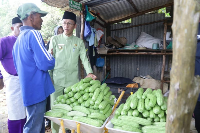 Penjabat (Pj) Wali Kota Tanjungpinang, Hasan, S.Sos, melakukan kunjungan ke sejumlah lokasi Kelompok Tani dan Kelompok Wanita Tani (KWT) binaan Dinas Pertanian, Pangan, dan Perikanan (DP3) Kota Tanjungpinang, Jumat (3/11/2023). Foto: Diskominfo Tanjungpinang

